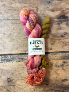 CHELSEA LUXE SALE SOCK SET With Mini Skein coop